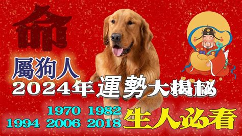 1982屬狗2023運勢顏色|【1982屬狗2023運勢顏色】1982屬狗2023開運密招！揭曉你的幸。